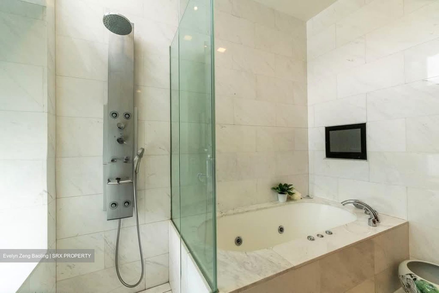 Belle Vue Residences (D9), Condominium #597662601